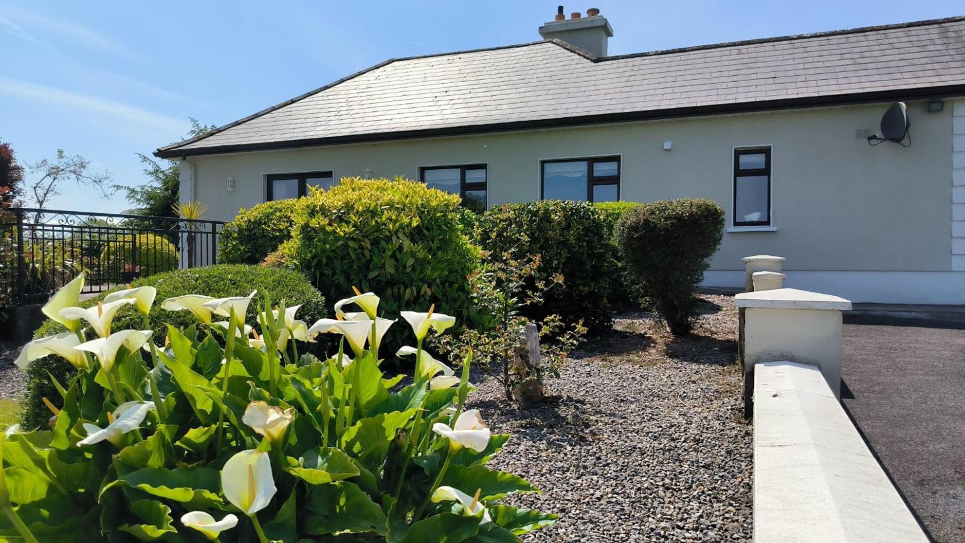 Swinford Country House Exterior foto